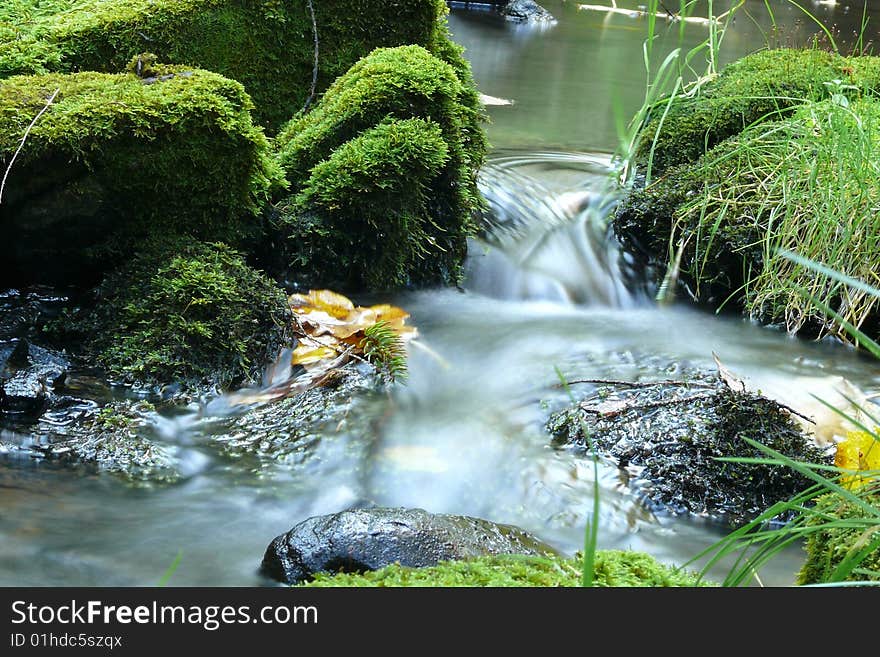 Moss stone in cold streem. Moss stone in cold streem