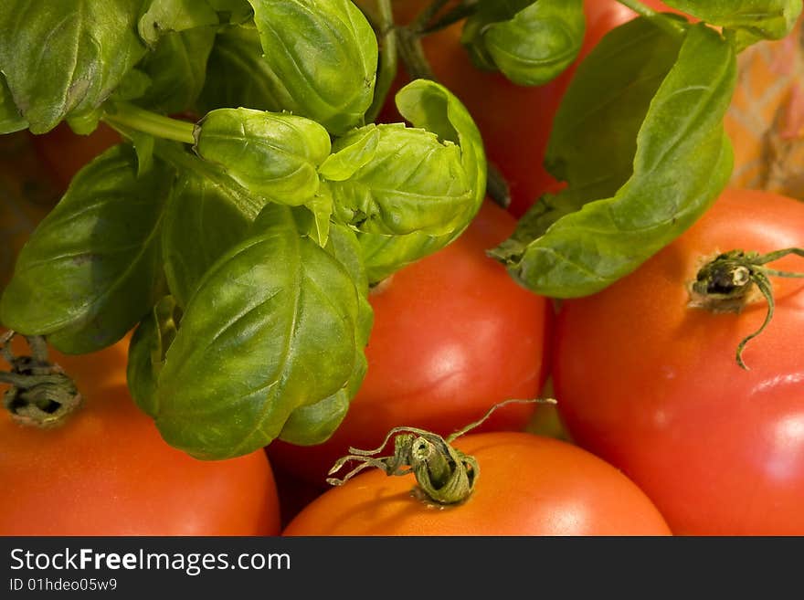 Tomatoes and herbs