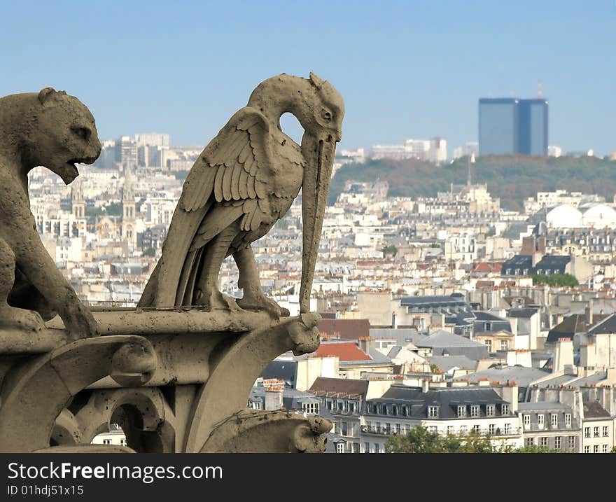 Chimera (gargoyle) on Notre Dame de Paris