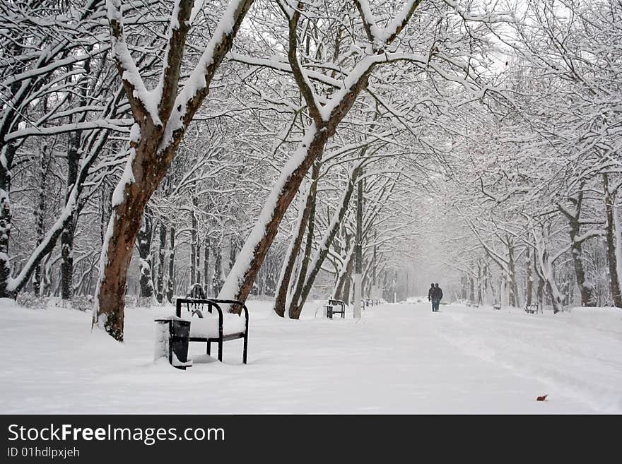 Parking path in winter,afield walk the people,goes the snow. Parking path in winter,afield walk the people,goes the snow.