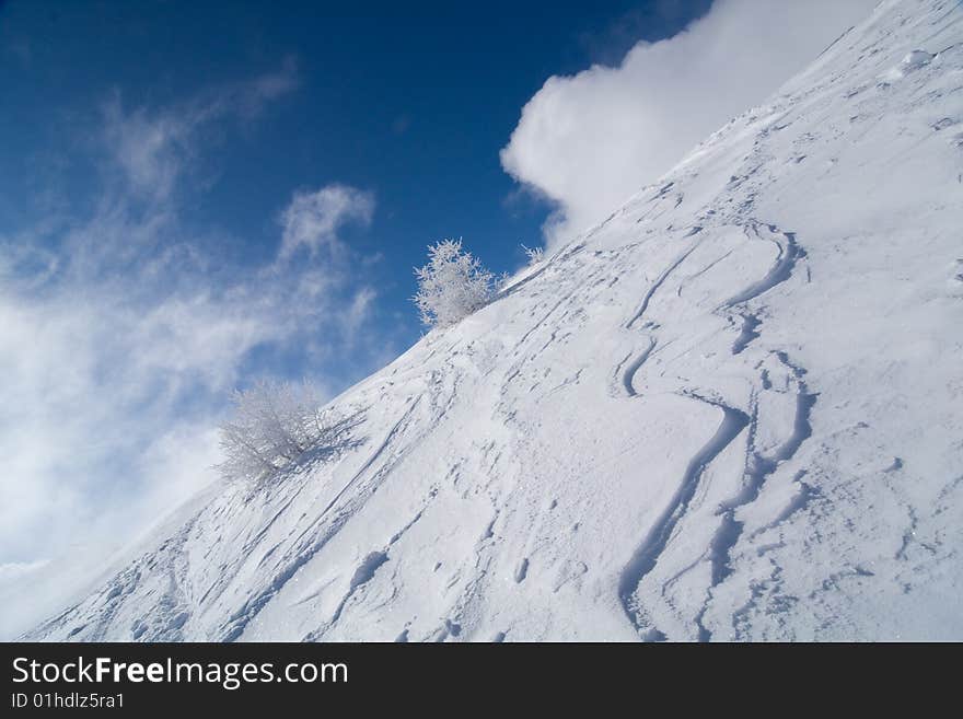 Wavy snow traces, frozen bushes in the mountains.  horizon line goes diagonally. Blue cloudy sky. Swiss Alps. Wavy snow traces, frozen bushes in the mountains.  horizon line goes diagonally. Blue cloudy sky. Swiss Alps.