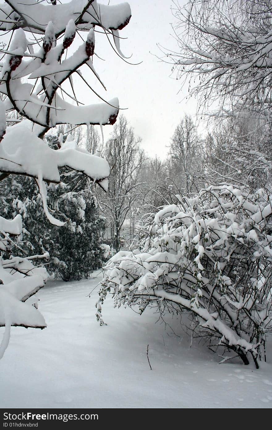 Parking path in winter.