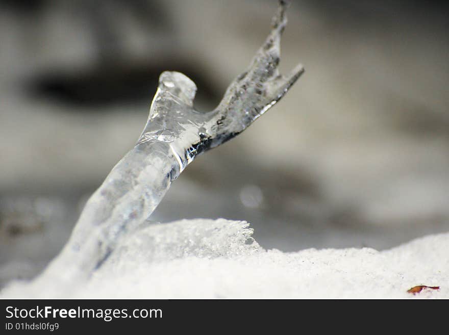 An icicle that had fallen when the snow began to melt. An icicle that had fallen when the snow began to melt.