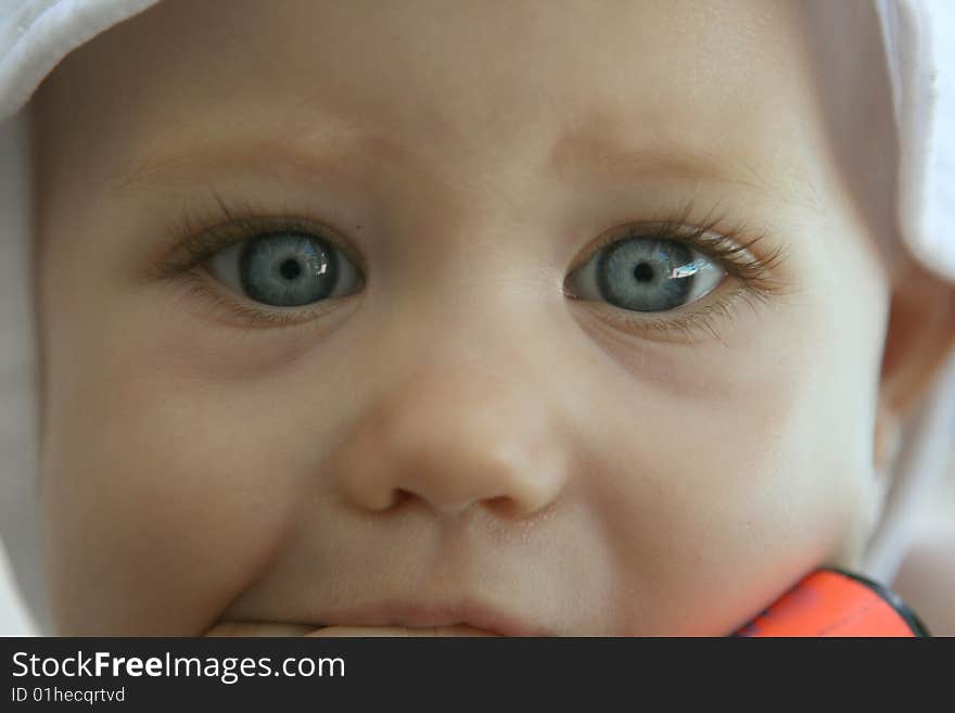 Baby blue eyes close up. Baby blue eyes close up