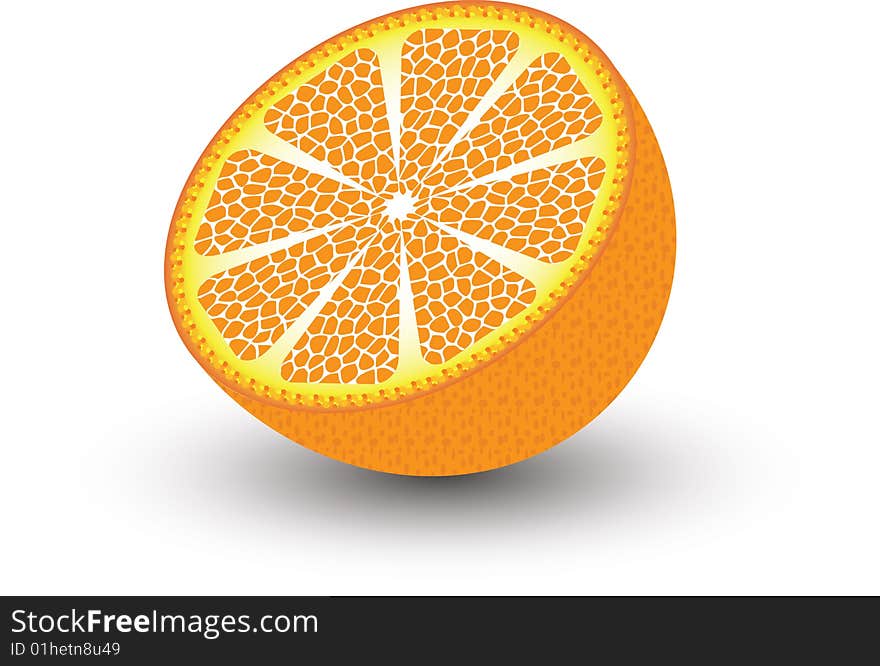 Vector Illustration -juicy Orange