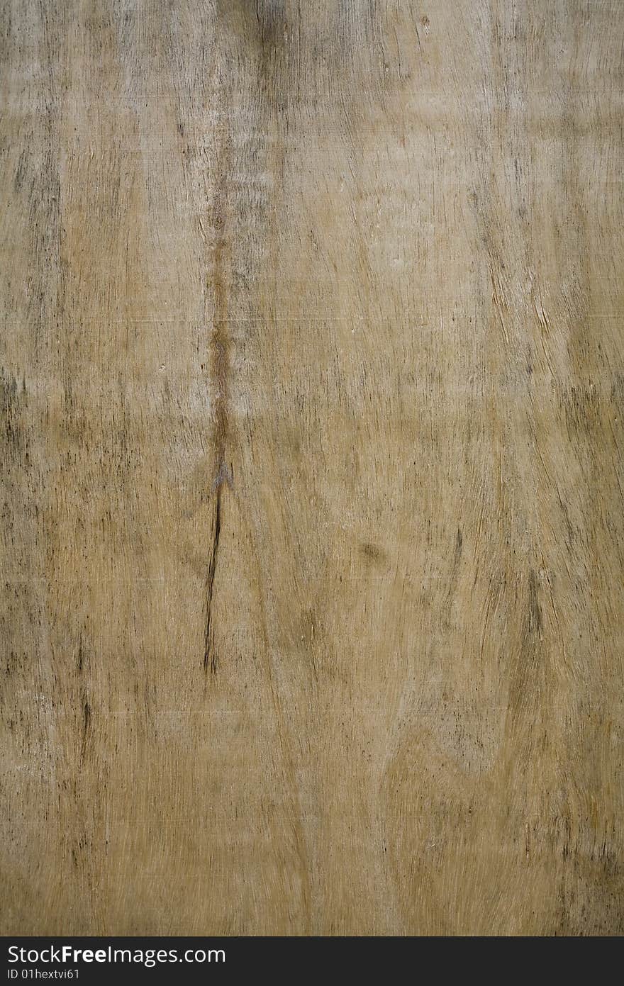 Wood Texture