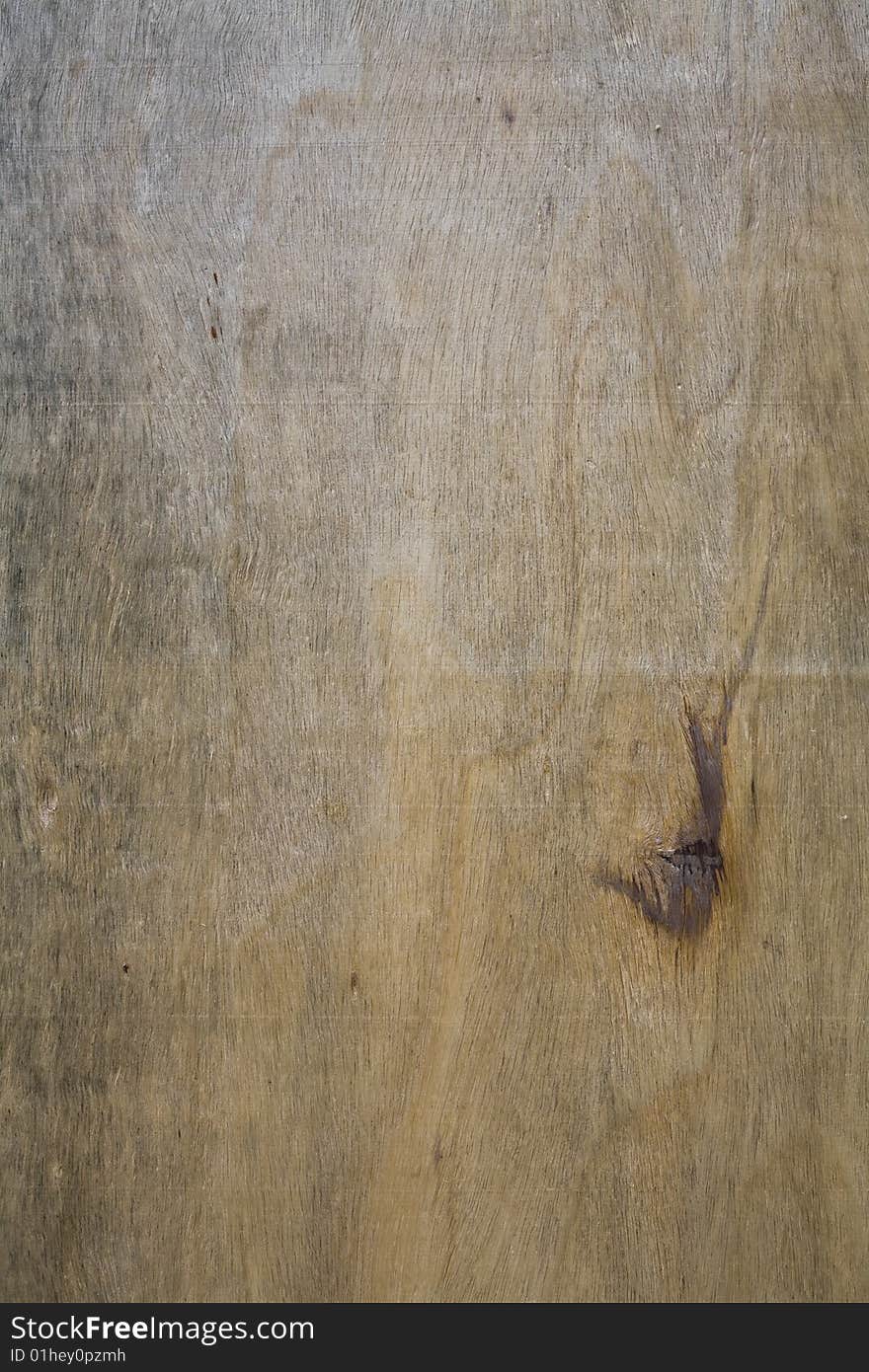 Wood Texture