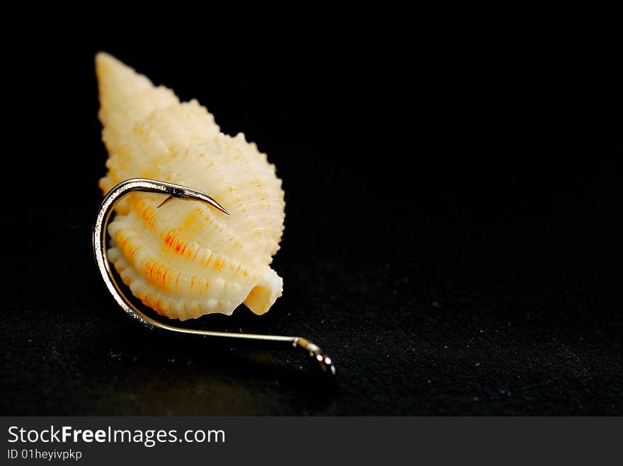 Clam Seashell with a fishing hook. Clam Seashell with a fishing hook