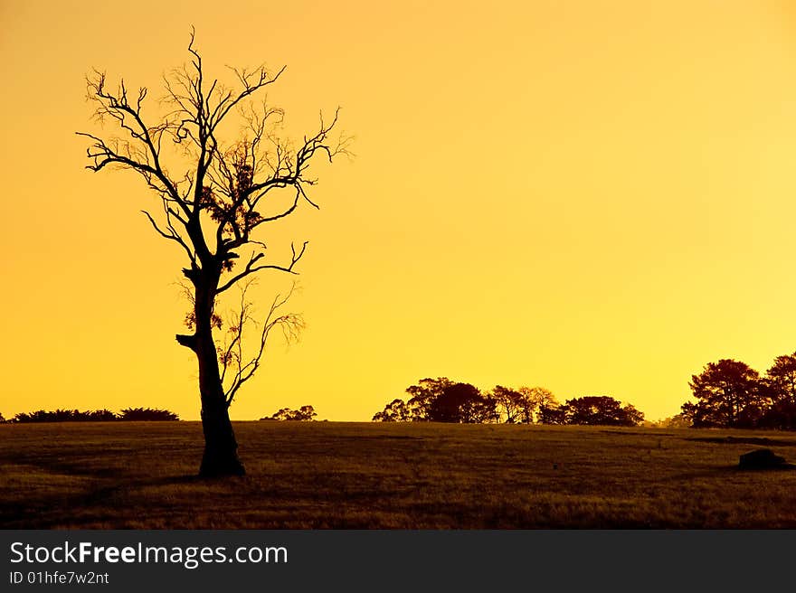 Sunset in Kersbrook, South Australia. Sunset in Kersbrook, South Australia