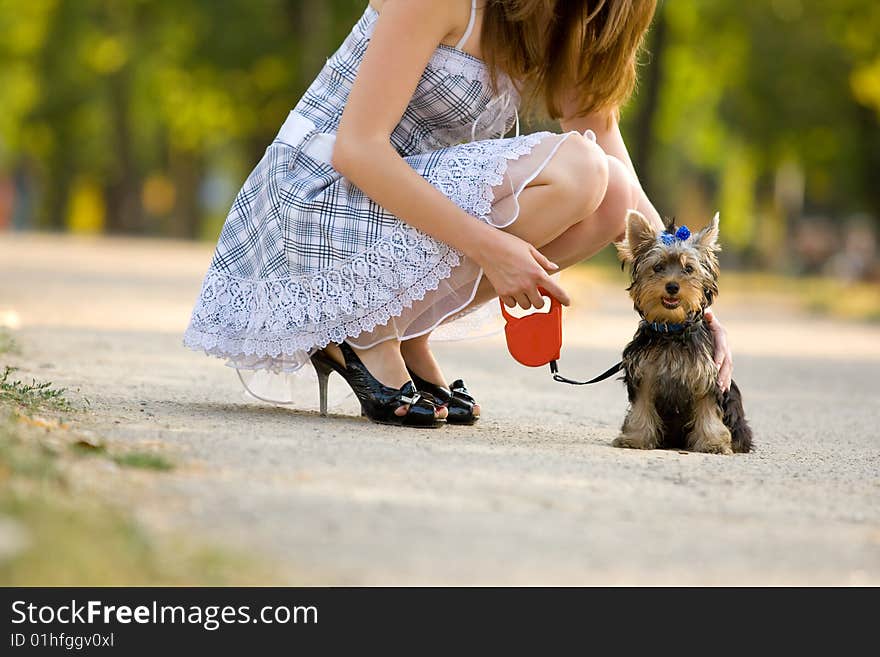 Woman with sweet tiny terrier. Woman with sweet tiny terrier