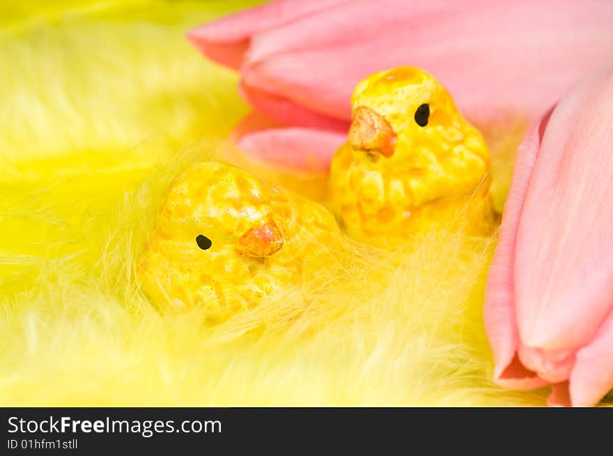 Close up on easter chickens and pink tulips on yellow feathers. Close up on easter chickens and pink tulips on yellow feathers