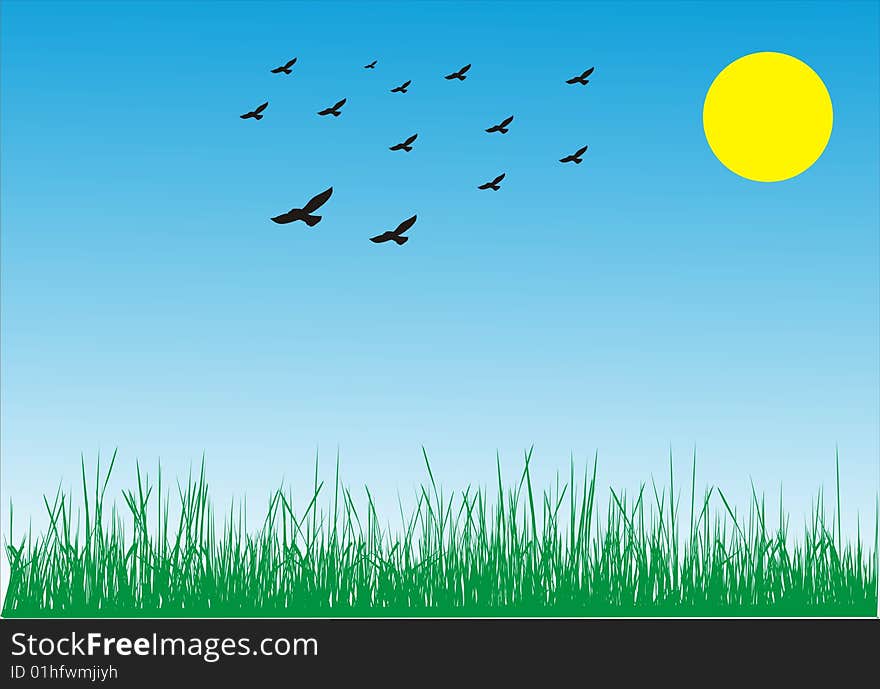 Birds in flight on blue sky. Birds in flight on blue sky