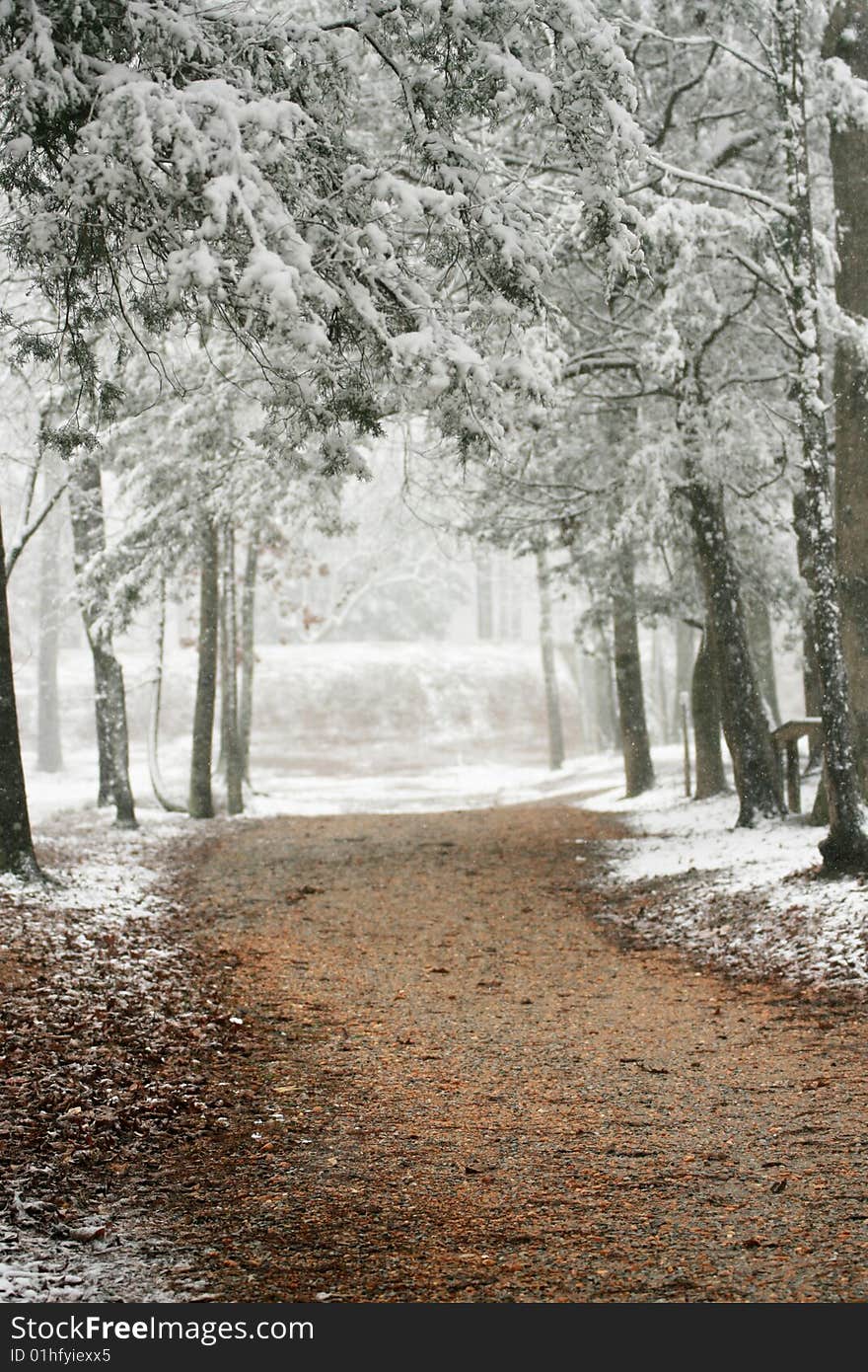 Walking trail at the confederate memorial park. Walking trail at the confederate memorial park