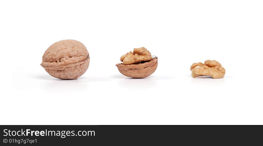 Evolution of nut