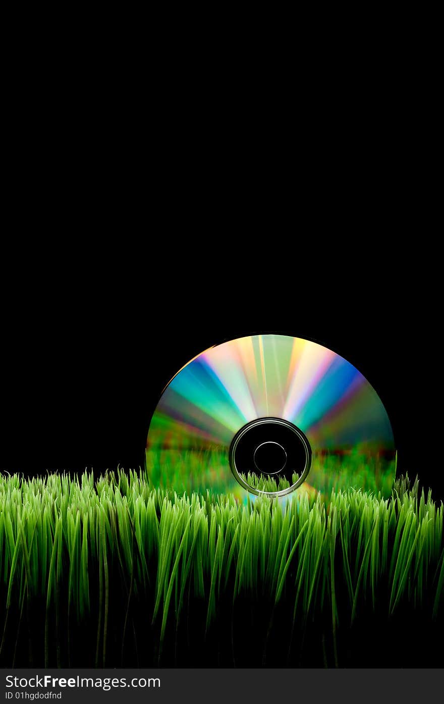 Compact computer data disk on green grass with a black background and space for copy. Compact computer data disk on green grass with a black background and space for copy