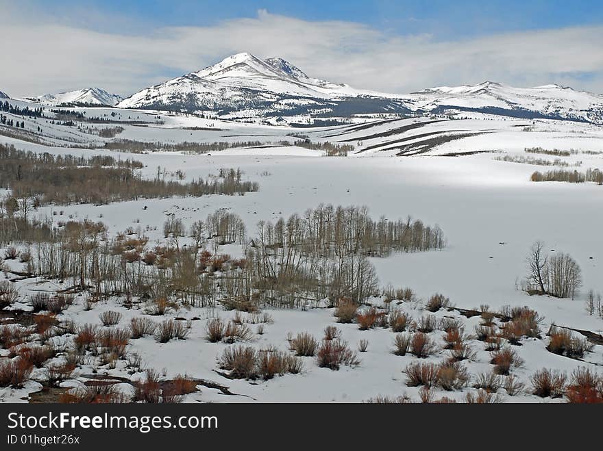 The upper Walker River along US 395 in the eastern Sierra Nevada.  Yosemite National Park begins in the high country on the horizon. The upper Walker River along US 395 in the eastern Sierra Nevada.  Yosemite National Park begins in the high country on the horizon.