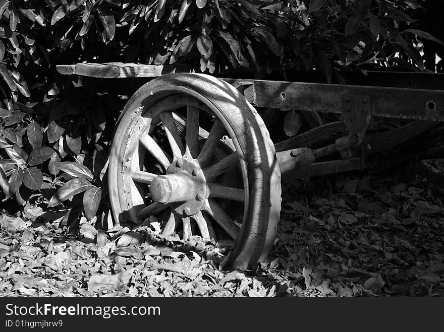 Old wheel on an anicent trailor. Old wheel on an anicent trailor