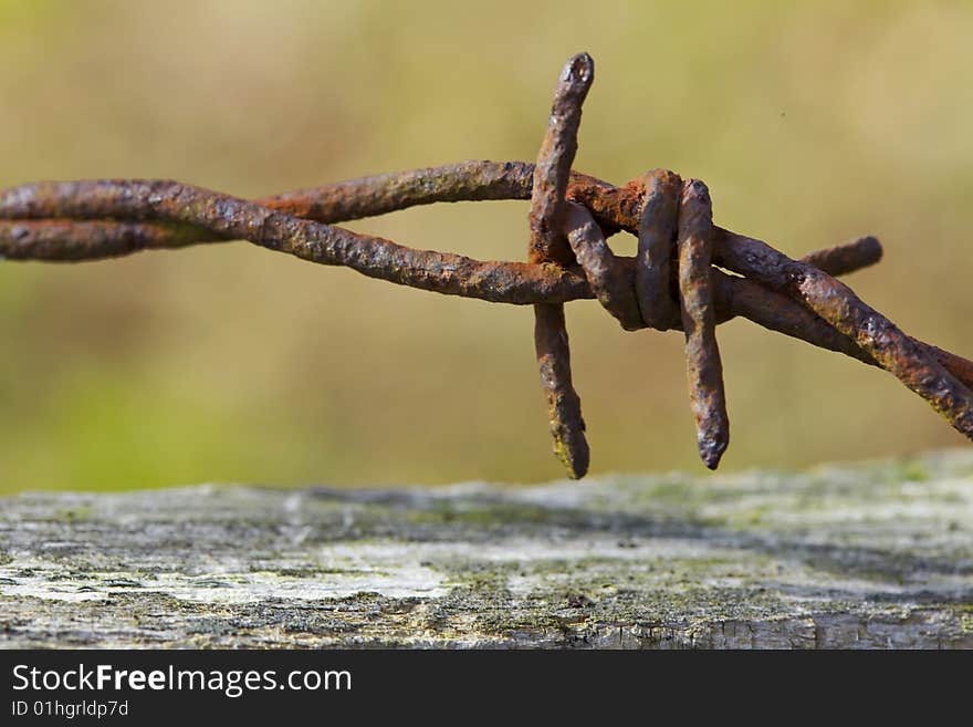 Corrosion Thorn rust wire with blur background. Corrosion Thorn rust wire with blur background