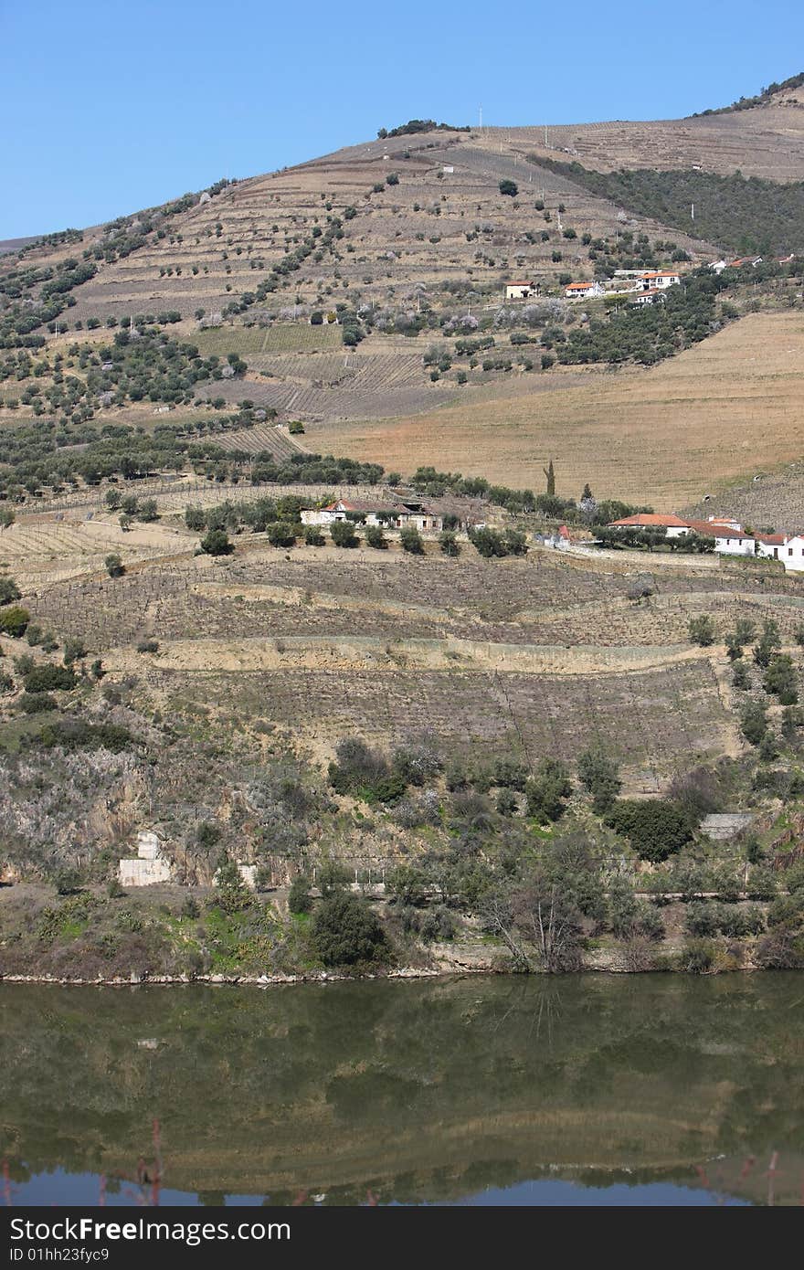 Douro river landscape, with vineyards