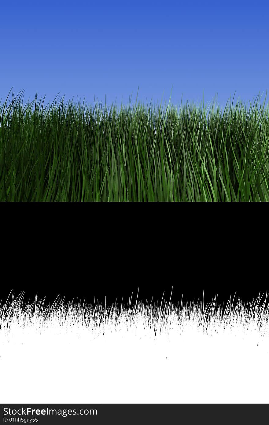 Grass