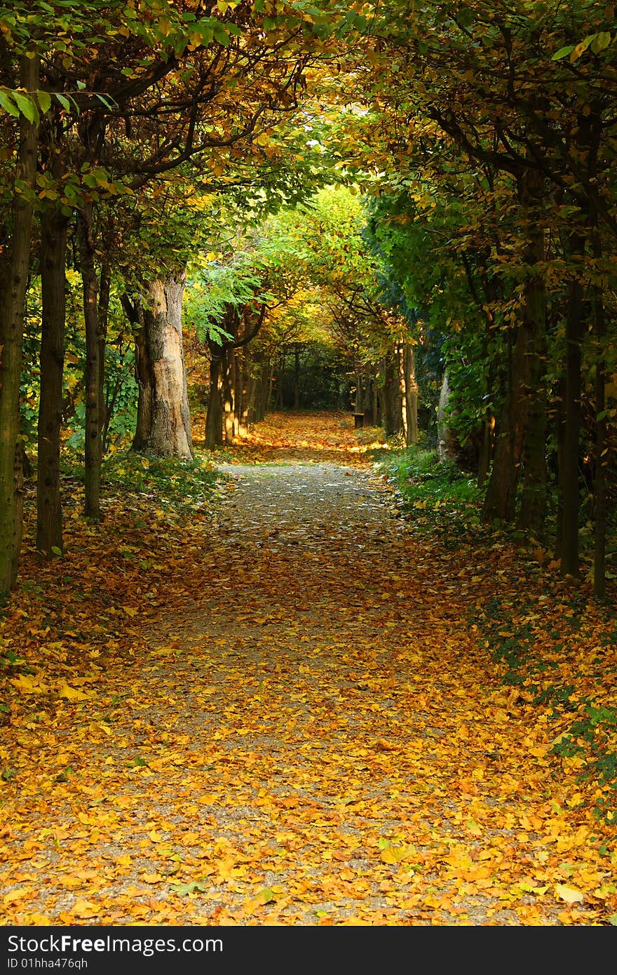 Beautiful autumn park in Buchlovice