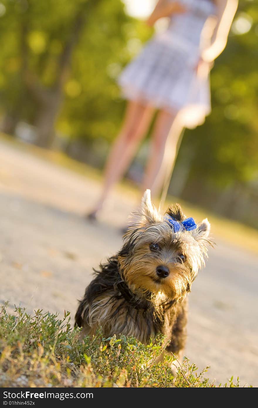 Woman with tiny terrier