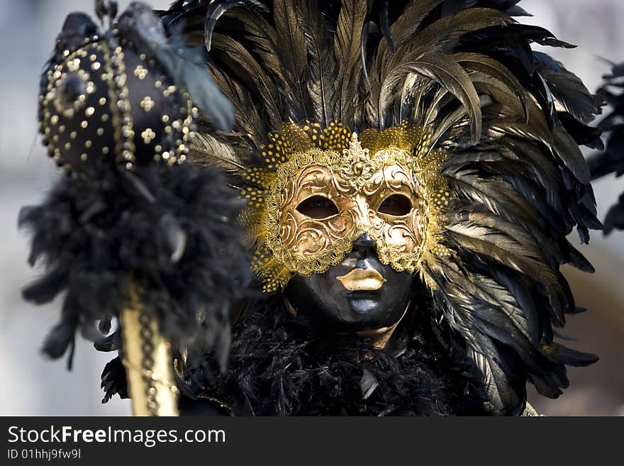 Professional mask I've seen during the carnival held in Venice in Italy, February 2009. Professional mask I've seen during the carnival held in Venice in Italy, February 2009.