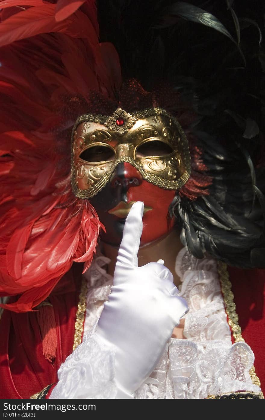 Professional mask I've seen during the carnival held in Venice in Italy, February 2009. Professional mask I've seen during the carnival held in Venice in Italy, February 2009.