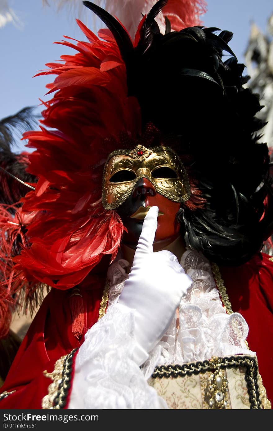 Professional mask I've seen during the carnival held in Venice in Italy, February 2009. Professional mask I've seen during the carnival held in Venice in Italy, February 2009.