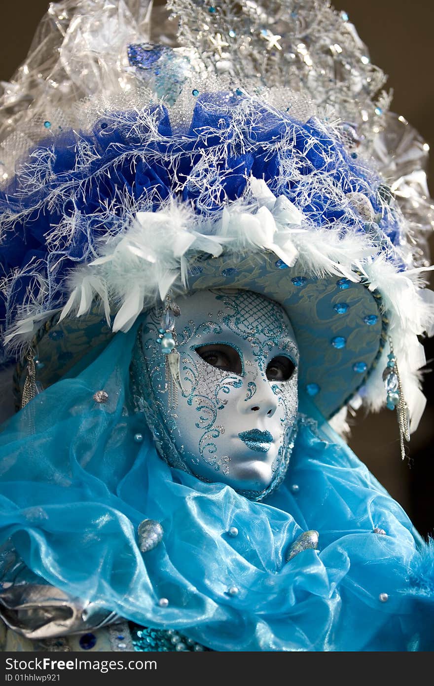 Professional mask I've seen during the carnival held in Venice in Italy, February 2009. Professional mask I've seen during the carnival held in Venice in Italy, February 2009.