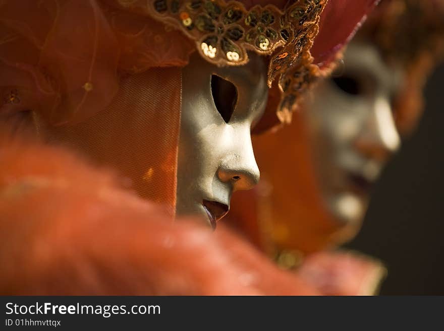 Professional mask I've seen during the carnival held in Venice in Italy, February 2009. Professional mask I've seen during the carnival held in Venice in Italy, February 2009.