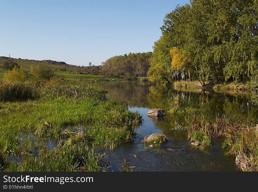 The river and meadow