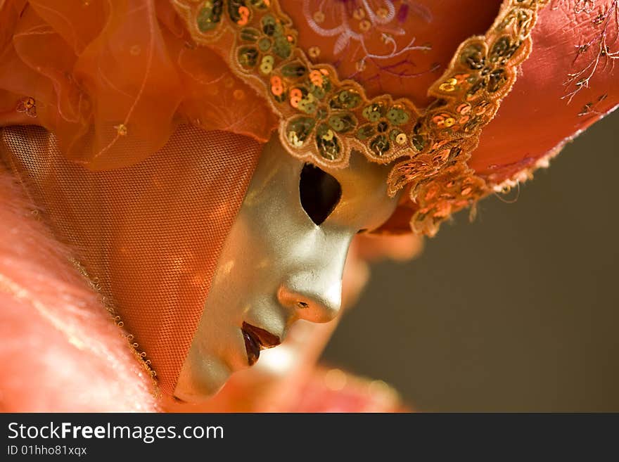 Professional mask I've seen during the carnival held in Venice in Italy, February 2009. Professional mask I've seen during the carnival held in Venice in Italy, February 2009.