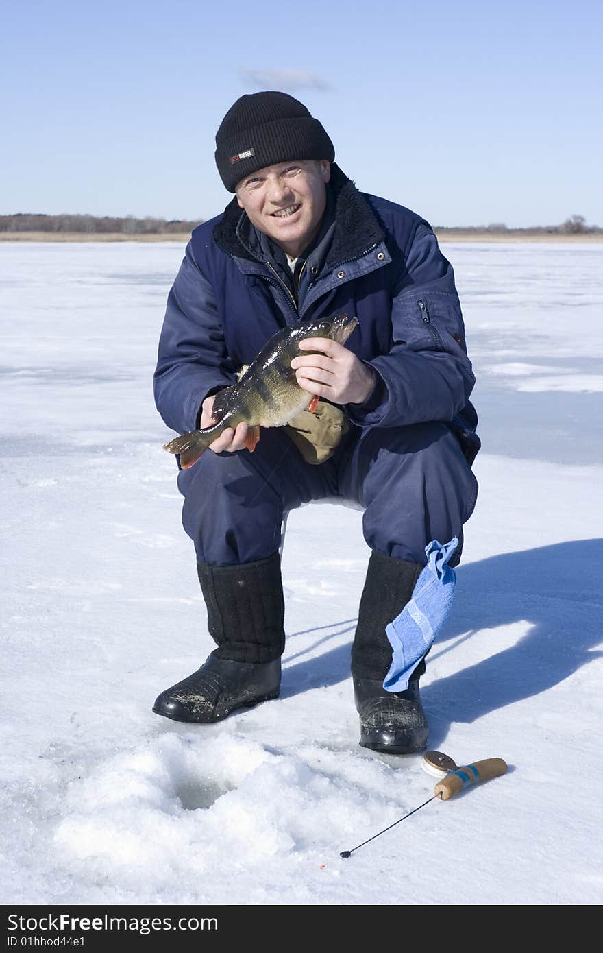 Fisherman has caught big perch on winter fishing