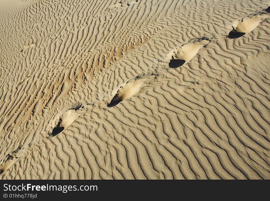 Human track on the sand. Human track on the sand