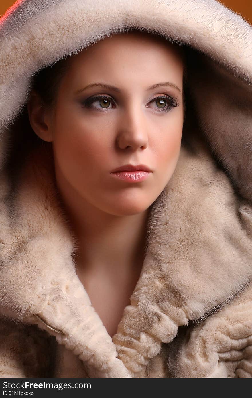 Portrait of attractive woman wearing natural fur. Portrait of attractive woman wearing natural fur