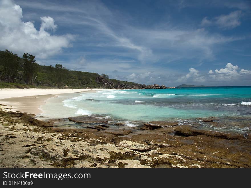 Seychelles stones and palm trees on the bank of azure ocean. Seychelles stones and palm trees on the bank of azure ocean