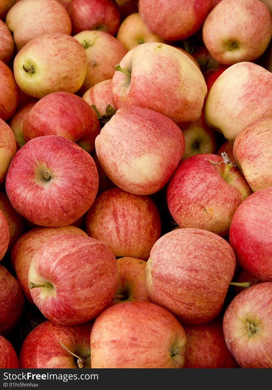 A bin of Fresh Juicy Apples at a fruit market. A bin of Fresh Juicy Apples at a fruit market