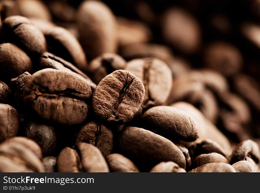 Close-up shot of coffee beans