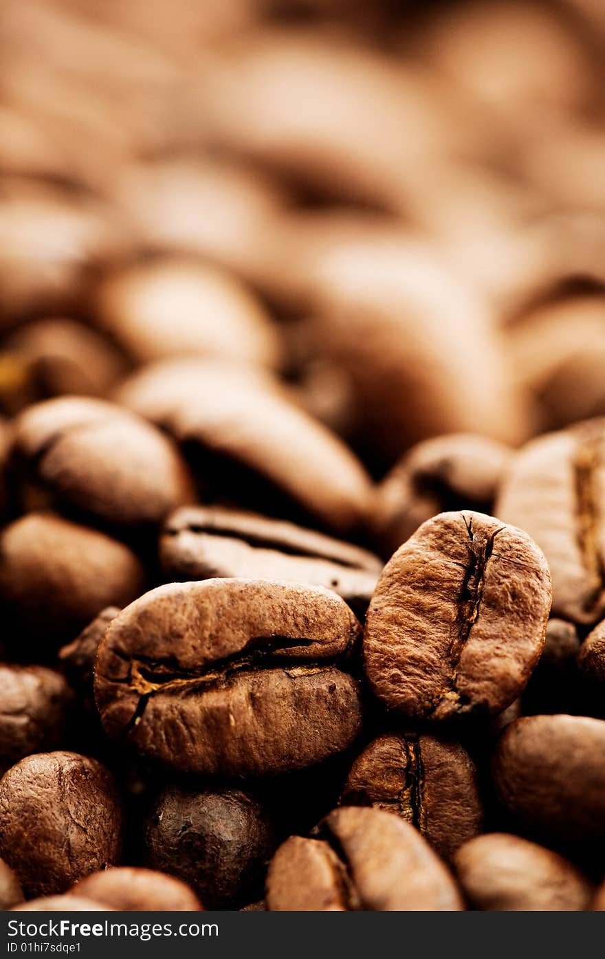 Close-up shot of coffee beans