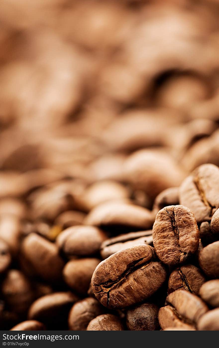 Close-up shot of coffee beans