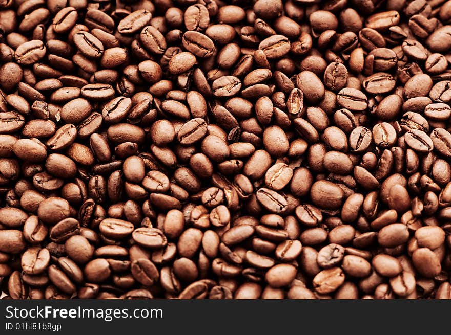 Shot of delicious coffee beans