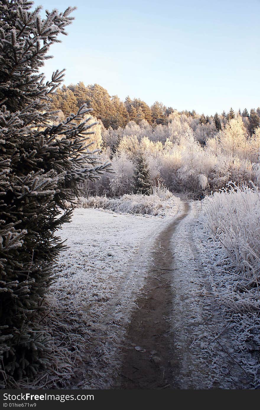 Winter path