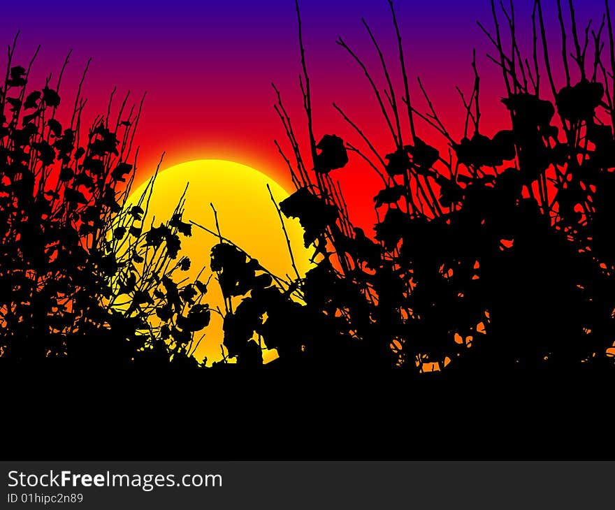 Sunrise/sunset illustration, leaves silhouette