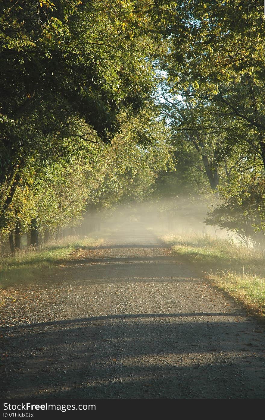 Country Road Morning