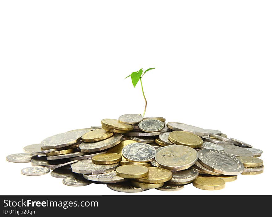 Lots of gold and silver coins piled around a little seedling. Its isolated over a pure white background. Lots of gold and silver coins piled around a little seedling. Its isolated over a pure white background.