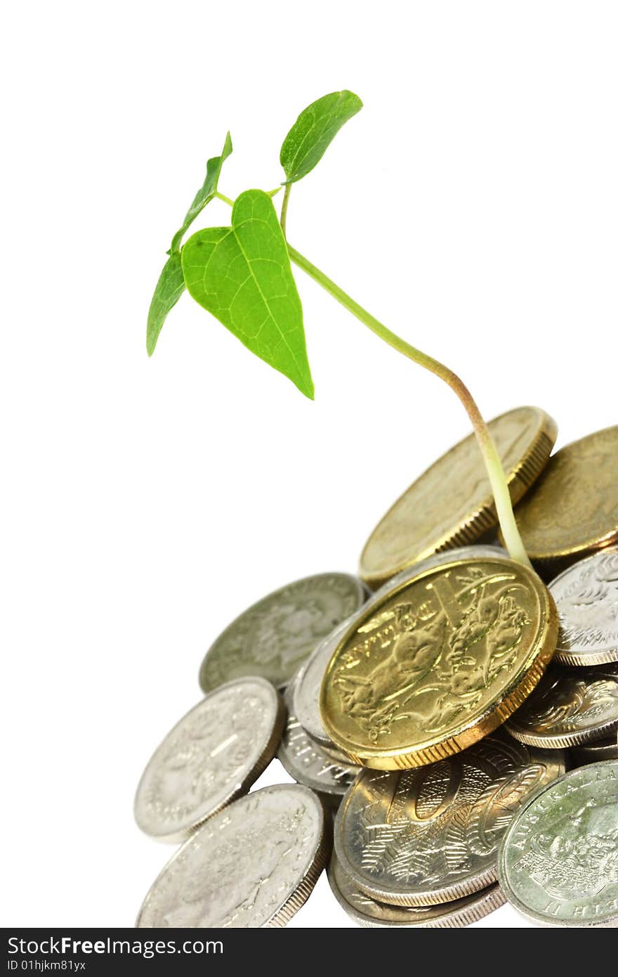 Lots of gold and silver coins piled around a little seedling. Its isolated over a pure white background. Lots of gold and silver coins piled around a little seedling. Its isolated over a pure white background.