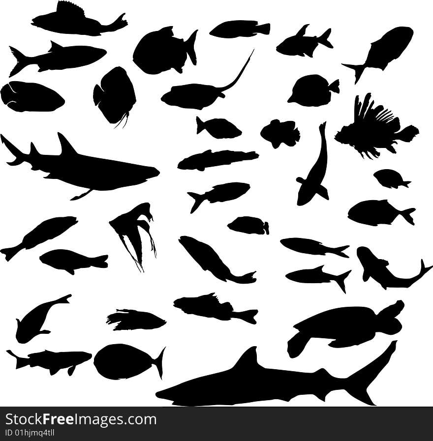 Fish silhouettes collection isolated on white background. Fish silhouettes collection isolated on white background