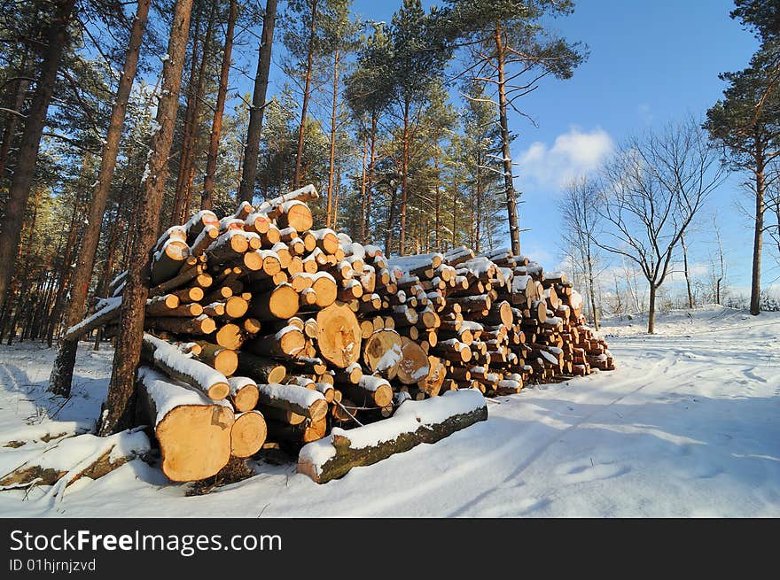 Stacked Wood