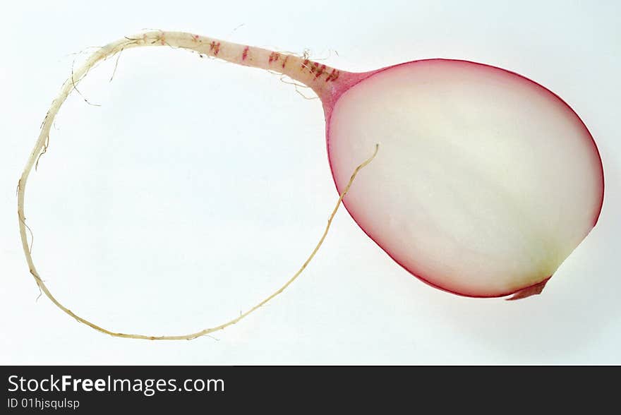 Half radishes on a white background